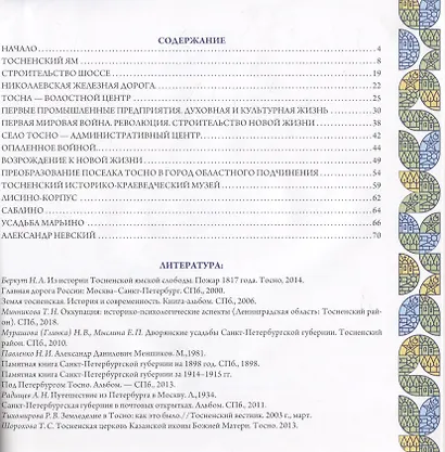 Тосно и окрестности - фото 2