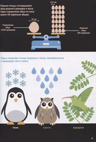 В мире животных. Инфографика - фото 5