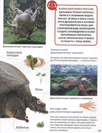 ПЕРВАЯ ДЕТСКАЯ ЭНЦИКЛОПЕДИЯ. ВСЁ О КРАСНОЙ КНИГЕ МАЛЫШАМ - фото 5