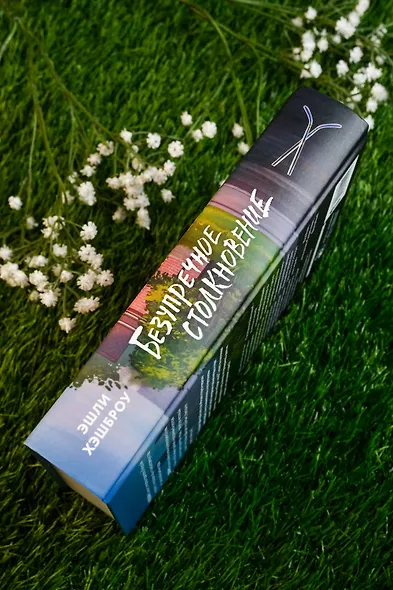 Безупречное столкновение - фото 8