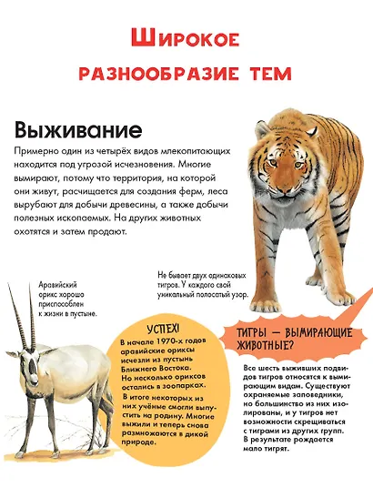 Животные - фото 5