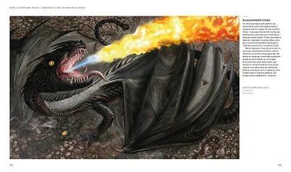 Фантастические твари. Природа чудес волшебного мира - фото 7