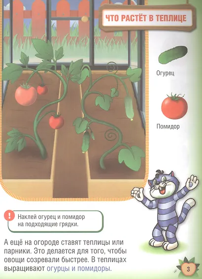 Фрукты и Овощи. (Обучающая Книжка с Наклейками). - фото 5