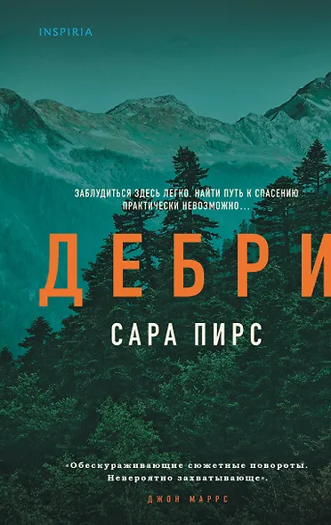 Дебри (формат клатчбук) - фото 1