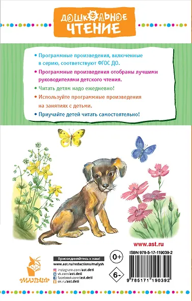 Арктур - гончий пес - фото 2