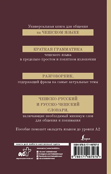 Чешский язык. 4-в-1. Грамматика, разговорник, чешско-русский словарь, русско-чешский словарь - фото 2