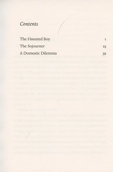 The Haunted Boy - фото 2