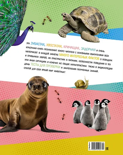 Яркий мир животных - фото 2