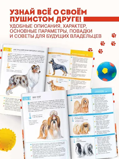 Породы собак. Определитель - фото 5