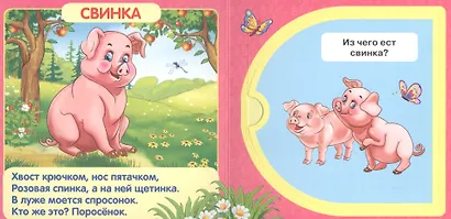 Домашние животные. - фото 5