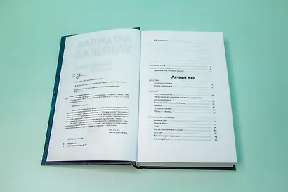 Священный мусор - фото 9