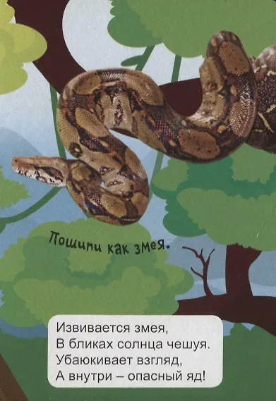 Животные джунглей - фото 6