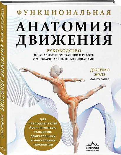 Функциональная анатомия движения. Руководство по анализу биомеханики и работе с миофасциальными меридианами - фото 3