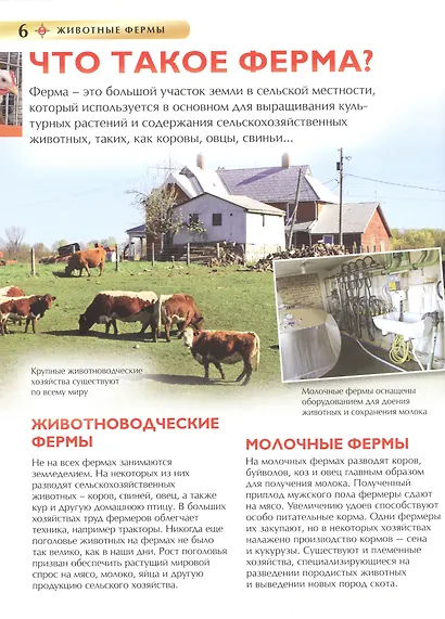 Животные фермы - фото 4