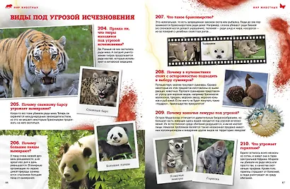 Мир животных: От актинии до ягуара - фото 9