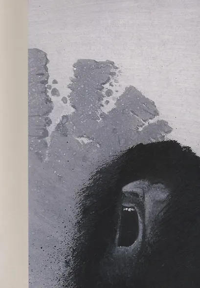 Ветхий завет: Книга Иисуса Навина. Книга Сдей Израилевых. Книга Руфи - фото 4