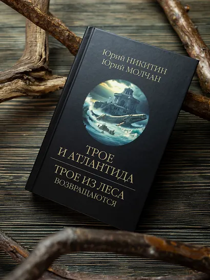 Трое и Атлантида - фото 6