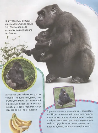 Животные Африки - фото 5