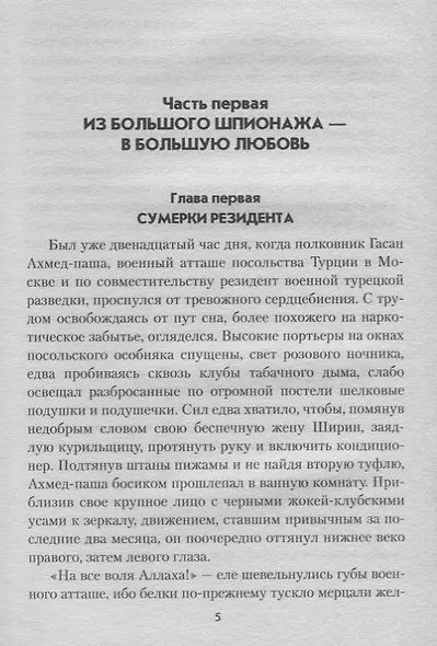Медовый капкан для Джоконды - фото 5