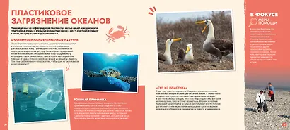 S.O.S. Красная книга - фото 9