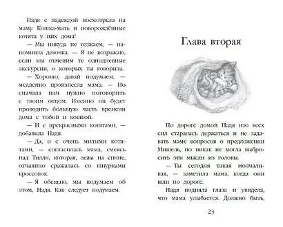 Котенок Луна, или Пушистый сюрприз (выпуск 55) - фото 11
