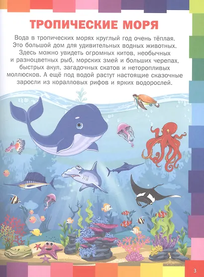 Удивительный подводный мир. Энциклопедия для малышей - фото 2