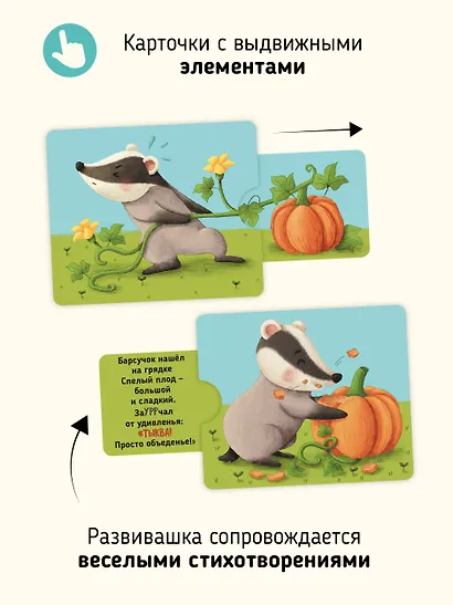 Развивающие карточки животные с выдвижными элементами "Тяни и корми" - фото 5