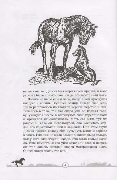 Дымка. Конь ковбоя - фото 4