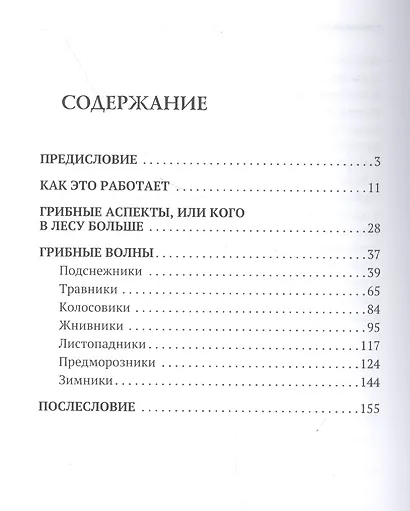 Путеводитель по грибным местам. Грибной календарь - фото 2