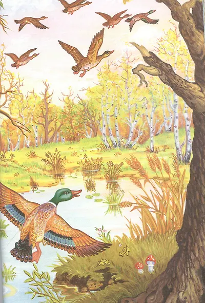 Лучшие сказки - фото 4