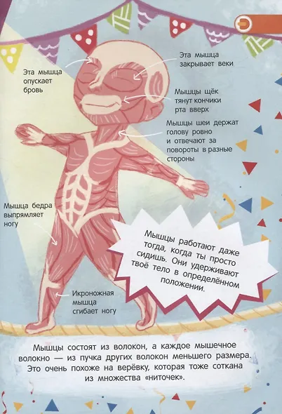 О чем стучит сердце? - фото 5