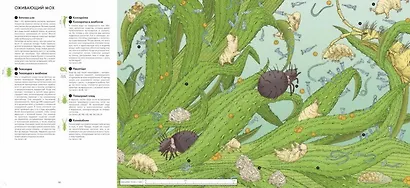 Живой мир под микроскопом - фото 6