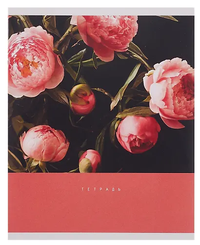 Тетрадь 48л кл. "Цветочный сад" мел.картон, ассорти - фото 5