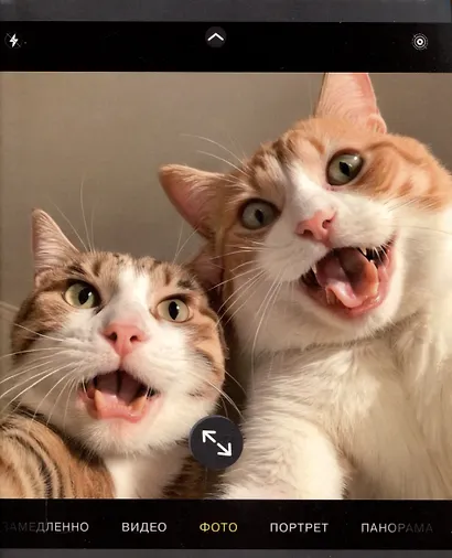 Тетрадь 48л кл. "Зверо-селфи" мел.картон, мат.ламинация, ассорти - фото 3