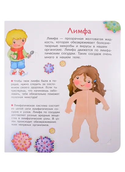 Что? Почему? Зачем? Наше тело. 36 волшебных окошек - фото 5