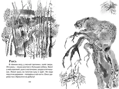 Друзья - фото 8