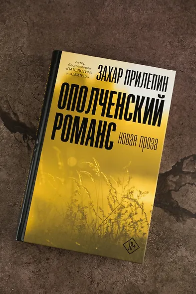 Ополченский романс - фото 6