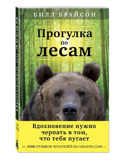 Прогулка по лесам. Вдохновение нужно черпать в том, что тебя пугает - фото 3
