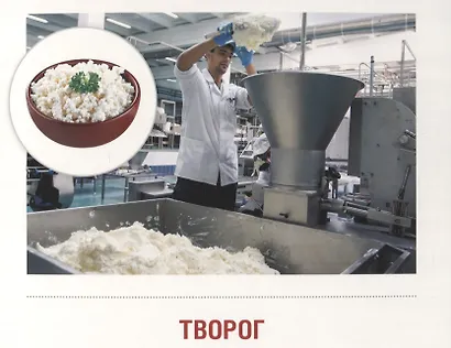 Молоко и молочные продукты. 16 демонстрационных картинок с тексом на обороте - фото 2