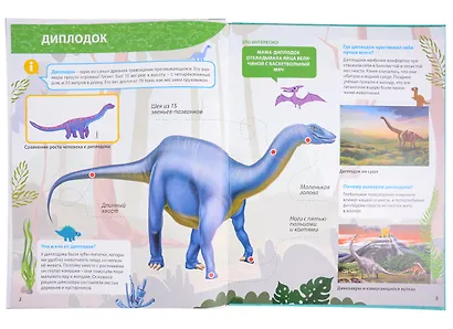ПЕРВАЯ ДЕТСКАЯ ЭНЦИКЛОПЕДИЯ. ВСЁ О ДИНОЗАВРАХ МАЛЫШАМ - фото 7