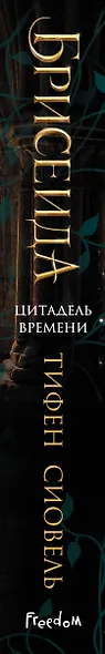 Брисеида. Цитадель времени (#1) - фото 5