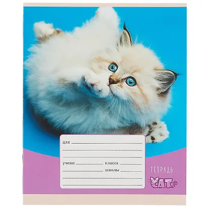 Тетрадь в клетку Listoff, "Игривые котята", 12 листов, в ассортименте - фото 5