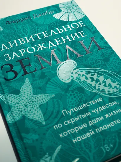 Удивительное зарождение Земли: Путешествие по скрытым чудесам, которые дали жизнь нашей планете - фото 7