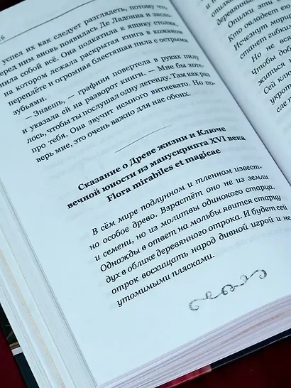 Буратино. История друзей - фото 13