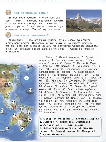 Планета Земля. Энциклопедия для дошкольников с веселым енотом - фото 3