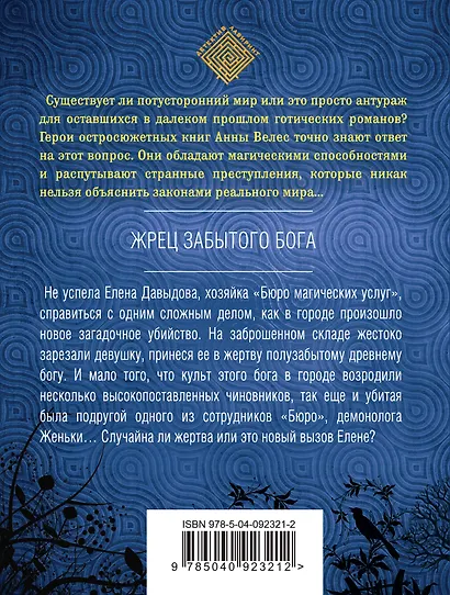 Жрец забытого бога - фото 2