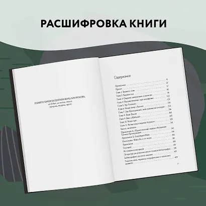 Разгадка кода майя: как ученые расшифровали письменность древней цивилизации - фото 12