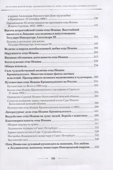 Источник живой воды: Жизнеописание праведного Иоанна Кронштадтского - фото 3