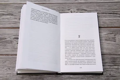 Повелитель вещей - фото 8