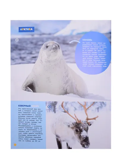 Энциклопедии c фото и видео приложениями. Животные - фото 5